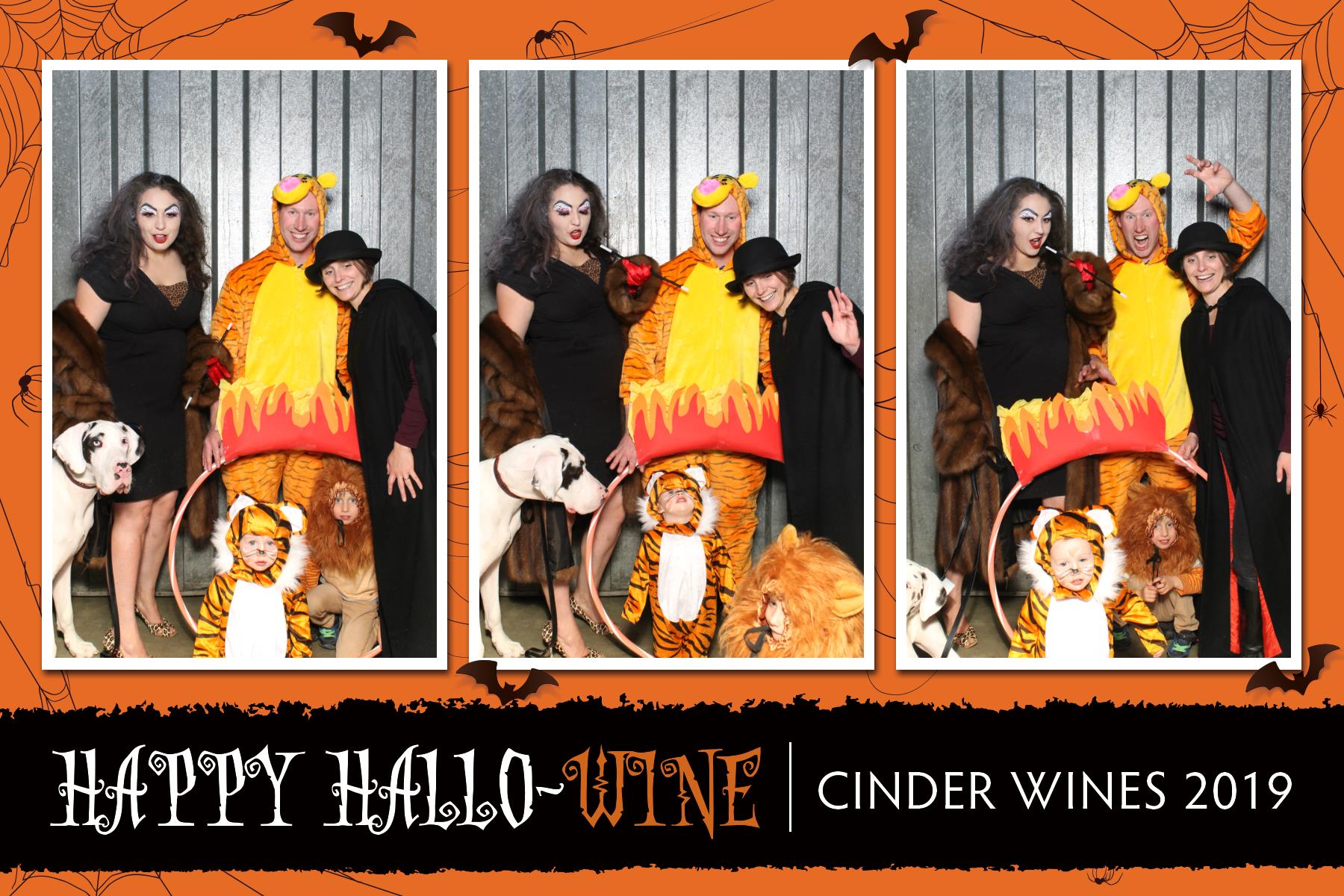 Cinder Hallowine | View more photos from the event at gallery.niknoxphotobox.com/u/NiKnox-Photo-Box/Cinder-Hallowine